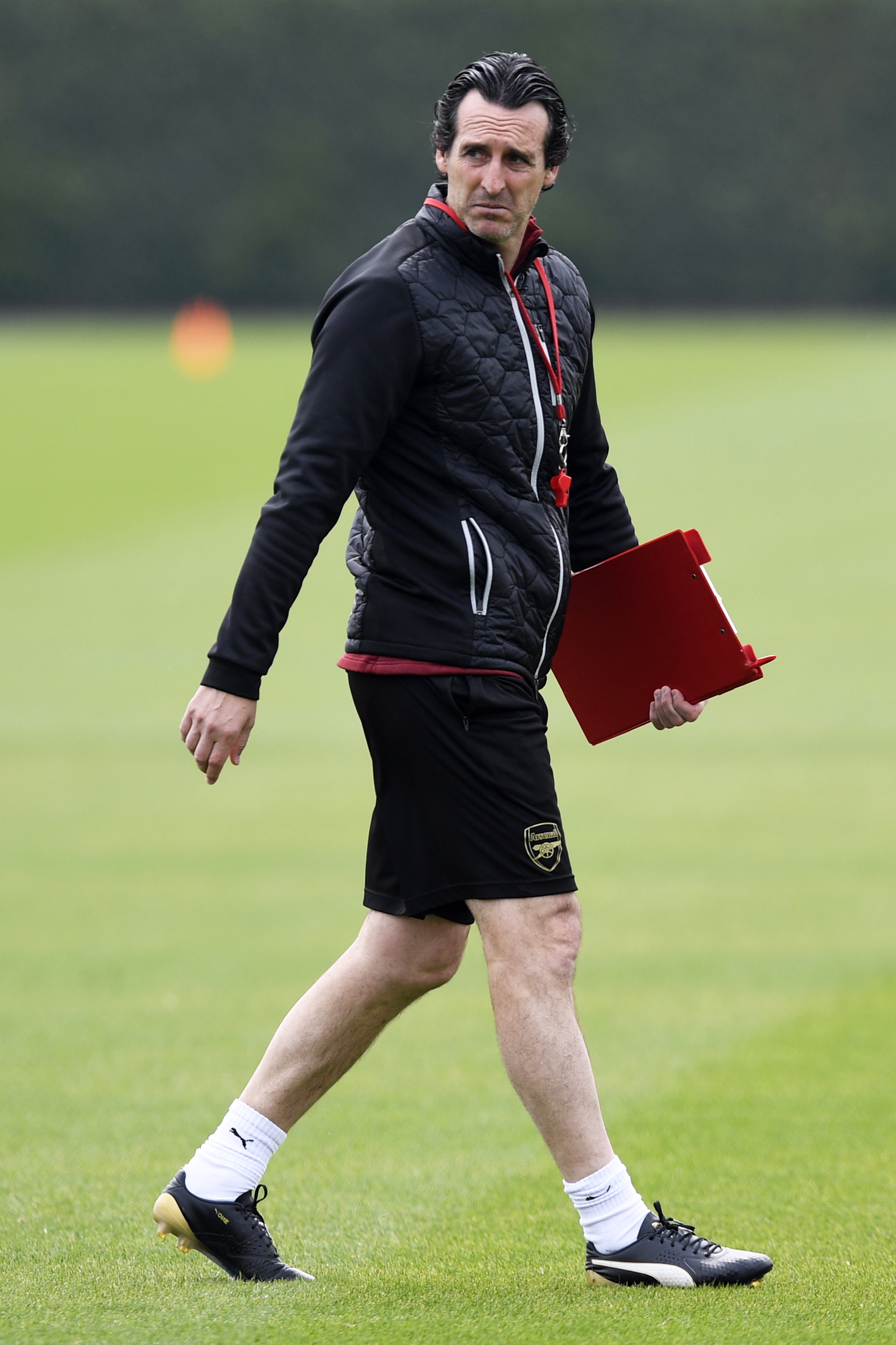 遮天蔽日 遮天蔽日