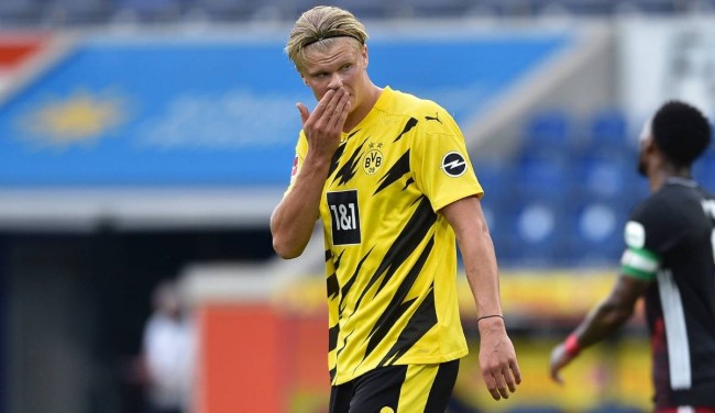 互动点自然 互动点自然